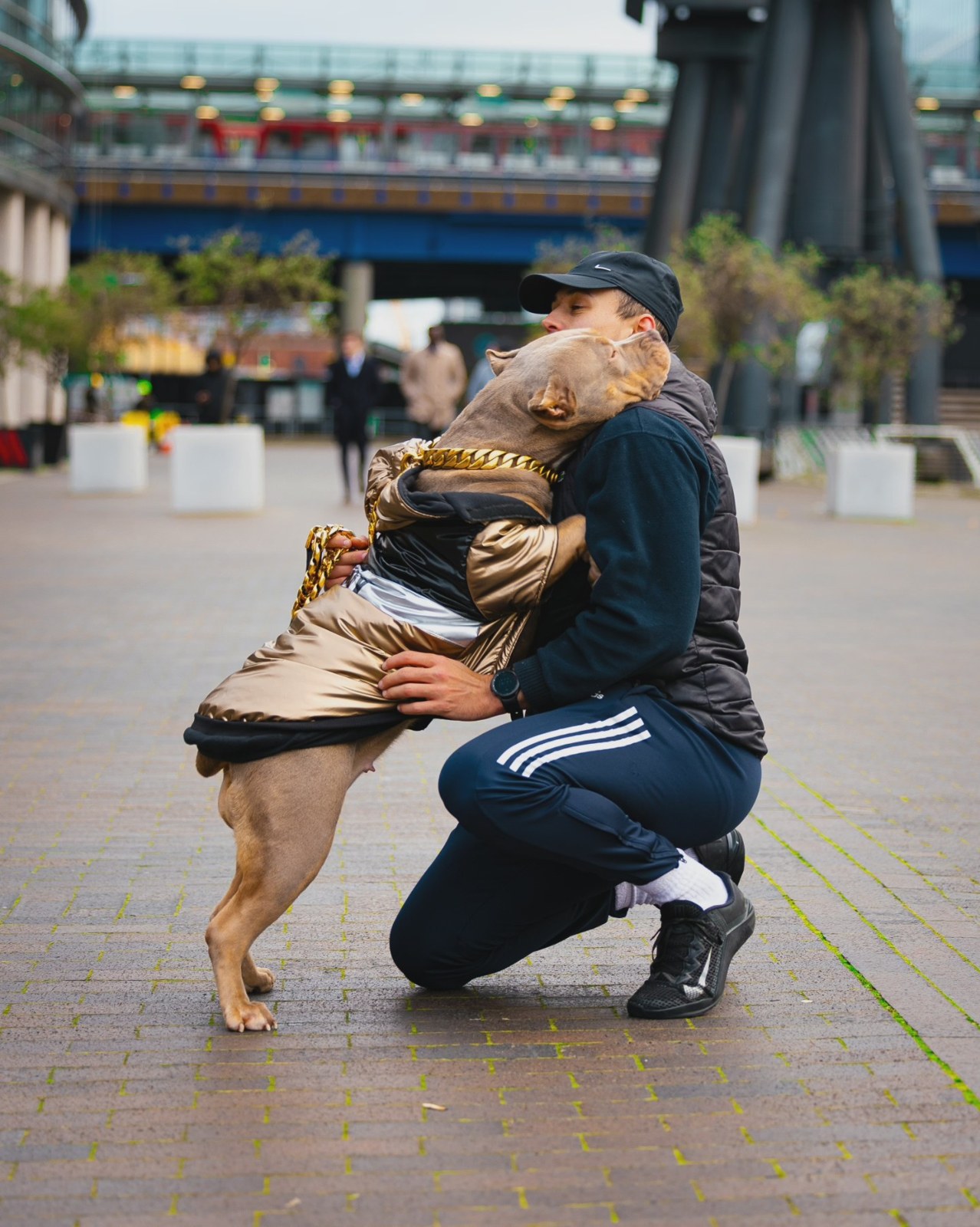 Zakaria Chemami kneeling with Gucci La Diabla, an American Bully in a gold coat and gold chain, resting her head on his shoulder during a shoot in Canary Wharf, London