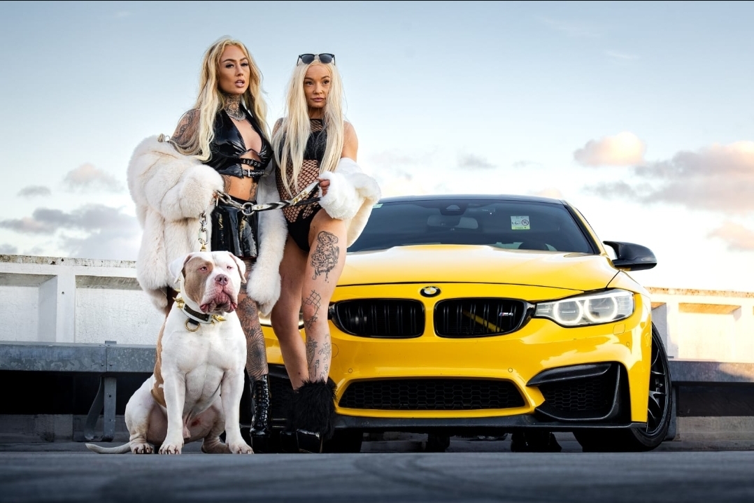 Two models posed with a bully breed dog beside a yellow BMW M4 on a rooftop at dusk
