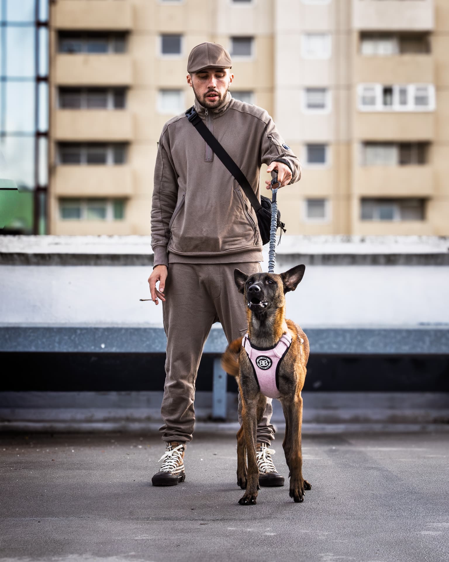 Handler in a beige tracksuit walking a Belgian Malinois on a rooftop car park